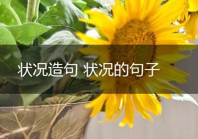 状况造句 状况的句子