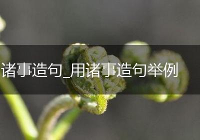 诸事造句_用诸事造句举例