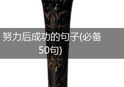 努力后成功的句子(必备50句)