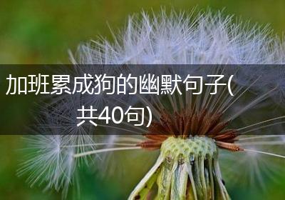 加班累成狗的幽默句子(共40句)