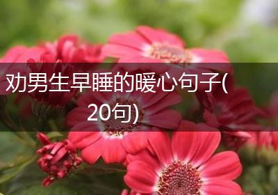 劝男生早睡的暖心句子(20句)