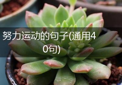 努力运动的句子(通用40句)