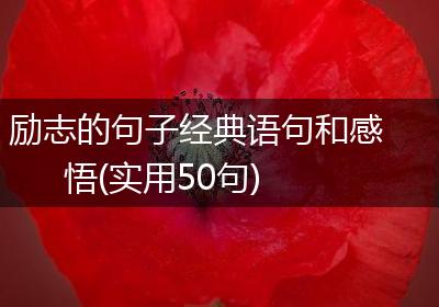 励志的句子经典语句和感悟(实用50句)