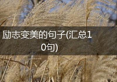 励志变美的句子(汇总10句)