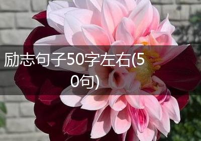 励志句子50字左右(50句)
