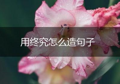 用终究怎么造句子
