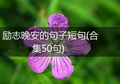 励志晚安的句子短句(合集50句)