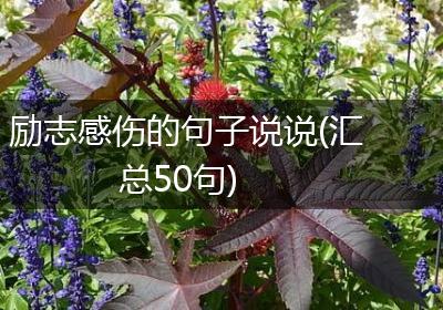 励志感伤的句子说说(汇总50句)