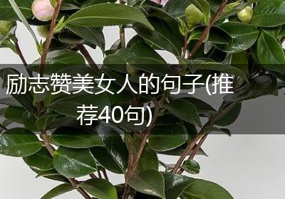 励志赞美女人的句子(推荐40句)