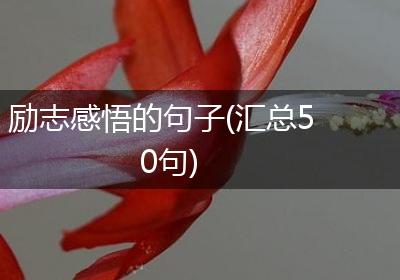 励志感悟的句子(汇总50句)