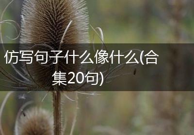 仿写句子什么像什么(合集20句)