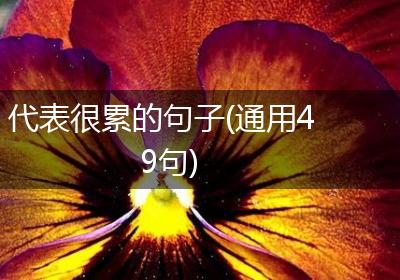 代表很累的句子(通用49句)
