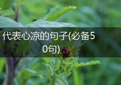 代表心凉的句子(必备50句)
