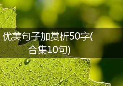 优美句子加赏析50字(合集10句)