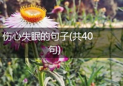伤心失眠的句子(共40句)