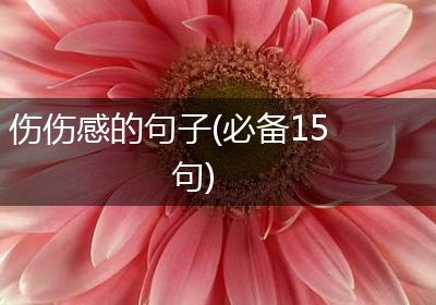 伤伤感的句子(必备15句)