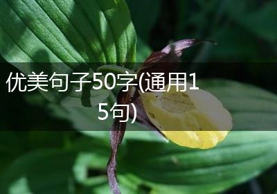 优美句子50字(通用15句)