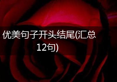 优美句子开头结尾(汇总12句)