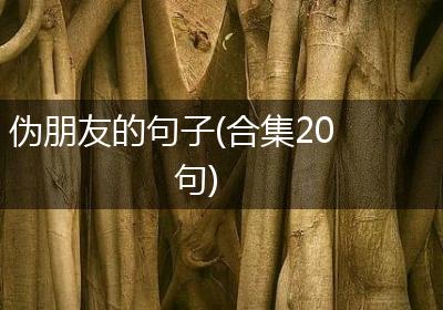 伪朋友的句子(合集20句)