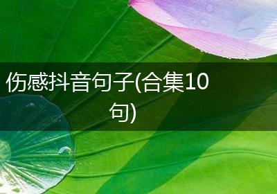 伤感抖音句子(合集10句)