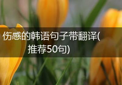 伤感的韩语句子带翻译(推荐50句)