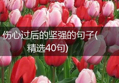 伤心过后的坚强的句子(精选40句)