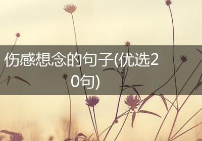 伤感想念的句子(优选20句)