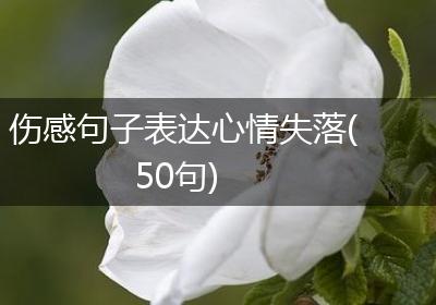 伤感句子表达心情失落(50句)