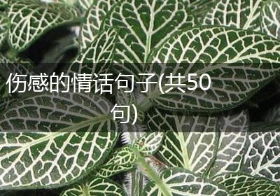 伤感的情话句子(共50句)