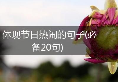 体现节日热闹的句子(必备20句)
