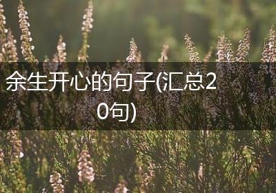 余生开心的句子(汇总20句)