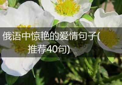 俄语中惊艳的爱情句子(推荐40句)