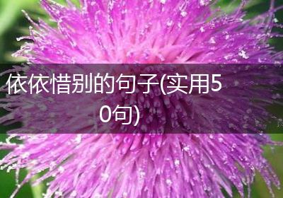依依惜别的句子(实用50句)