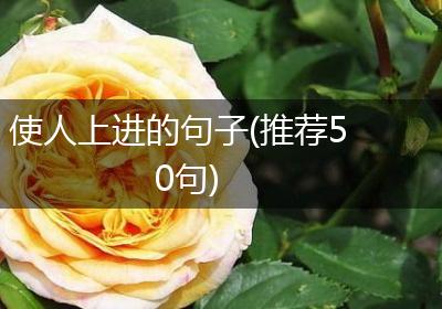 使人上进的句子(推荐50句)