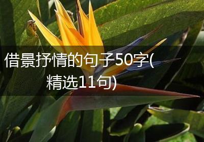 借景抒情的句子50字(精选11句)