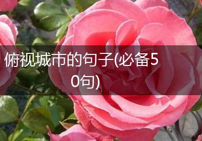 俯视城市的句子(必备50句)
