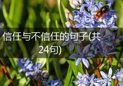 信任与不信任的句子(共24句)