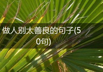 做人别太善良的句子(50句)