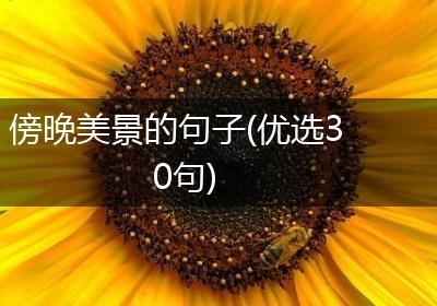傍晚美景的句子(优选30句)