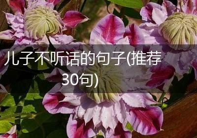 儿子不听话的句子(推荐30句)