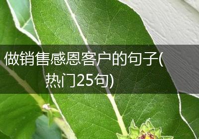 做销售感恩客户的句子(热门25句)