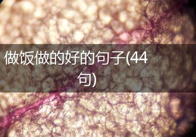 做饭做的好的句子(44句)