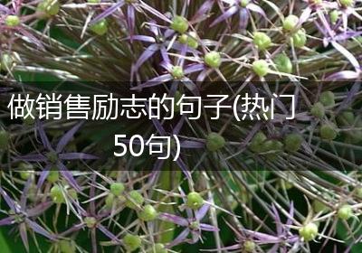 做销售励志的句子(热门50句)
