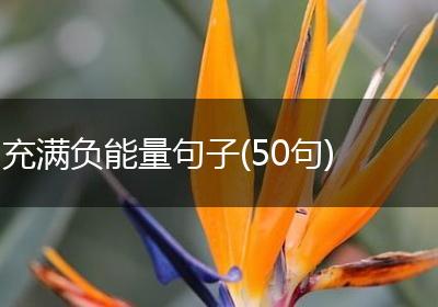 充满负能量句子(50句)