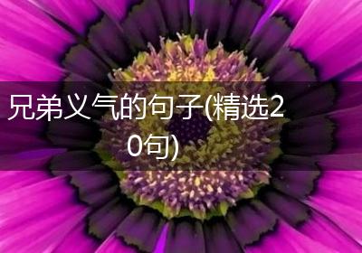 兄弟义气的句子(精选20句)