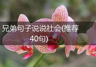 兄弟句子说说社会(推荐40句)