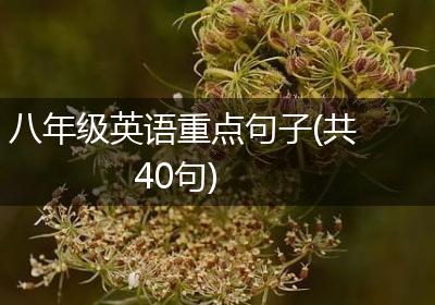 八年级英语重点句子(共40句)