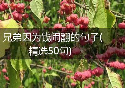 兄弟因为钱闹翻的句子(精选50句)
