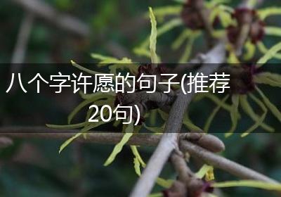 八个字许愿的句子(推荐20句)