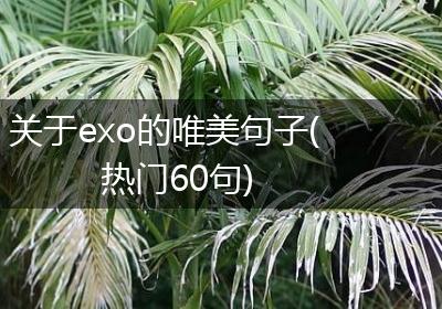 关于exo的唯美句子(热门60句)